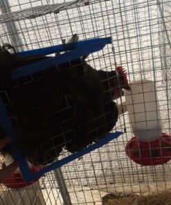 Wire Clip Pliers 19 81rI7NcEpWL