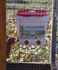 RentACoop 2 Gallon Chicken BPA-Free Plastic Bucket Waterer Set with 4 Horizontal Nipples - Corner Placement 27 81rJWQfWtSL