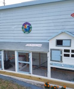 RentACoop 20lb BPA-Free Chicken Feeder with Large Ports - Includes Lid, Anti-Roost Cone, Ports, Rain Hoods - Suitable for Chickens - Corner Placement 27 81rJy99O2L