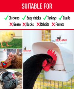Royal Rooster Chicken Feeder and Chicken Waterer Set - 7 lb Poultry Chicken Feeder with Rain Cover and 1 Gallon Waterer System - Chicken Coop Accessories: Valve-Cup Waterer and Gravity-Feed Feeder Set 1-Cup Waterer 17 81rJzJoxBfL