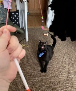 Fashion's Talk Cat Toys Variety Pack for Kitty 20 Pieces 41 81rLYz7pS8L