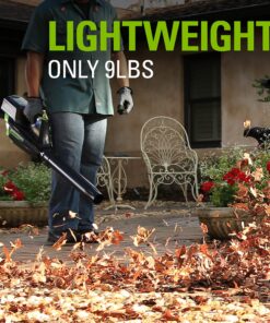 Greenworks 80V (125 MPH / 500 CFM / 75+ Compatible Tools) Cordless Axial Leaf Blower, 2.0Ah Battery and Charger Included Blower (2.0Ah) 21 81rP9u58 ES