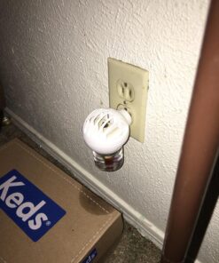 Comfort Zone Calming Diffuser Kit for Cat Calming Single Diffuser Kit Old Feliway Formula 43 81rRIhClt2L