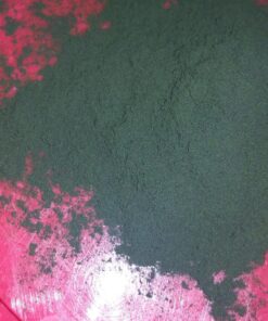 BulkSupplements.com Chlorella Powder - Green Superfood Powder - Greens Supplements - Chlorophyll Powder - Greens Powder - 3g per Serving, Broken Cell Wall (250 Grams - 8.8 oz) 8.8 Ounce (Pack of 1) 23 81rRfEBY7uL