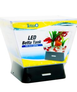 Tetra LED Betta Tank Kit 1 Gallon, Trapezoid aquarium With Base Lighting (24050) 21 81rTjb8m3kL