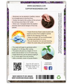 Seed Needs, Purple Rockcress Seeds - 1,000 Heirloom Seeds for Planting Aubrieta deltoidea - Perennial Flower Great for Rock Gardens, Groundcover, Attracts Pollinators (5 Packs) 2 Packs (2,000 Seeds) 10 81rVwwpoOdL