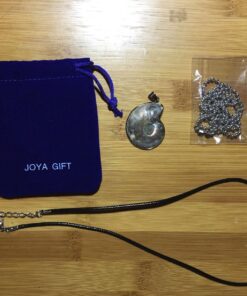 JOYA GIFT Charm Handmade Natural Conch Fossil Ammonite By Silver Wrapped Pendant Necklace (1 PCE). 42 81rW1zDrftL