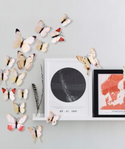 Amaonm® 60 Pcs 5 Packages Beautiful 3D Butterfly Wall Decals Removable DIY Home Decorations Art Decor Wall Stickers & Murals for Babys Bedroom Tv Background Living Room (White2) White2 28 81rZkkK3MGL