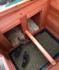 TRIXIE Pet Products Chicken Coop with Outdoor Run, 66.75 x 30.25 x 41.25 inches 66.8"L x 30.3"W x 41.3"H 50 81raaXXjuaL