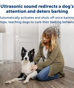 PetSafe Indoor Ultrasonic Dog Bark Control - No Collar Needed - Up to 25 ft Range - Anti-Bark Pet Training System - Automatic with Manual Trainer Button One Size 21 81rahtdiezL