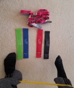 Fit Simplify Resistance Loop Exercise Bands with Instruction Guide and Carry Bag, Set of 5 Assorted 56 81rbjG8KvWL