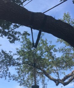 DCAL Gear Tree Swing Hanging Straps Kit - Easy & Fast Installation - 5ft Extra Long Straps Hold 2000 lb - Safer Lock Snap Carabiner Hooks Perfect to Tree Swing, Swing Sets, Tire Swing & Hammock 49 81rcq1eTmL