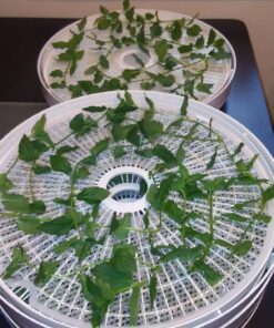 NESCO LM-2-6 Round Plastic Mesh 13 1/2" Clean-A-Screens, for Dehydrators, (Pack of 2) 23 81rdQZa L5L