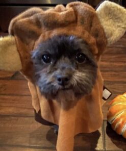 Rubie's Star Wars Ewok Pet Costume, Small S (Neck: 12", Girth: 17", Back: 11") 1 33 81rebP2mMJL