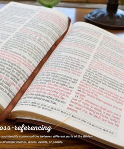 KJV Holy Bible, Giant Print Standard Size Faux Leather Red Letter Edition - Thumb Index & Ribbon Marker, King James Version, Dark Brown Imitation Leather 46 81rg9AZm6hL