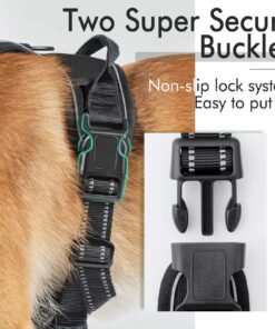 rabbitgoo Dog Harness, No-Pull Pet Harness with 2 Leash Clips, Adjustable Soft Padded Dog Vest, Reflective No-Choke Pet Oxford Vest with Easy Control Handle for Large Dogs, Black, XL X-Large 35 81riVN9BnL