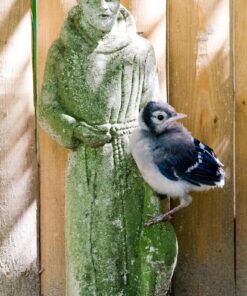 Tamron SP 70-200MM F/2.8 DI VC USD Telephoto Zoom Lens for Nikon (FX) Cameras Nikon FX Cameras 68 81rwcuIeCwL