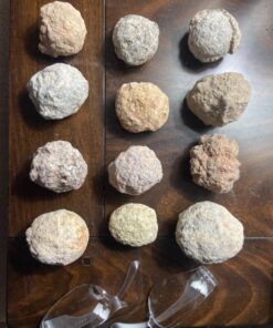 Large Size Break Open Geodes Kit 12 Whole Geodes By Ancient Treasure Adventures 65 81rxY7n3ryL