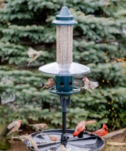 Squirrel Buster Plus Squirrel-proof Bird Feeder w/Cardinal Ring and 6 Feeding Ports, 5.1-pound Seed Capacity, Adjustable, Pole-mountable (POLE ADAPTOR SOLD SEPARATELY), Green 32 81rzziJgiL