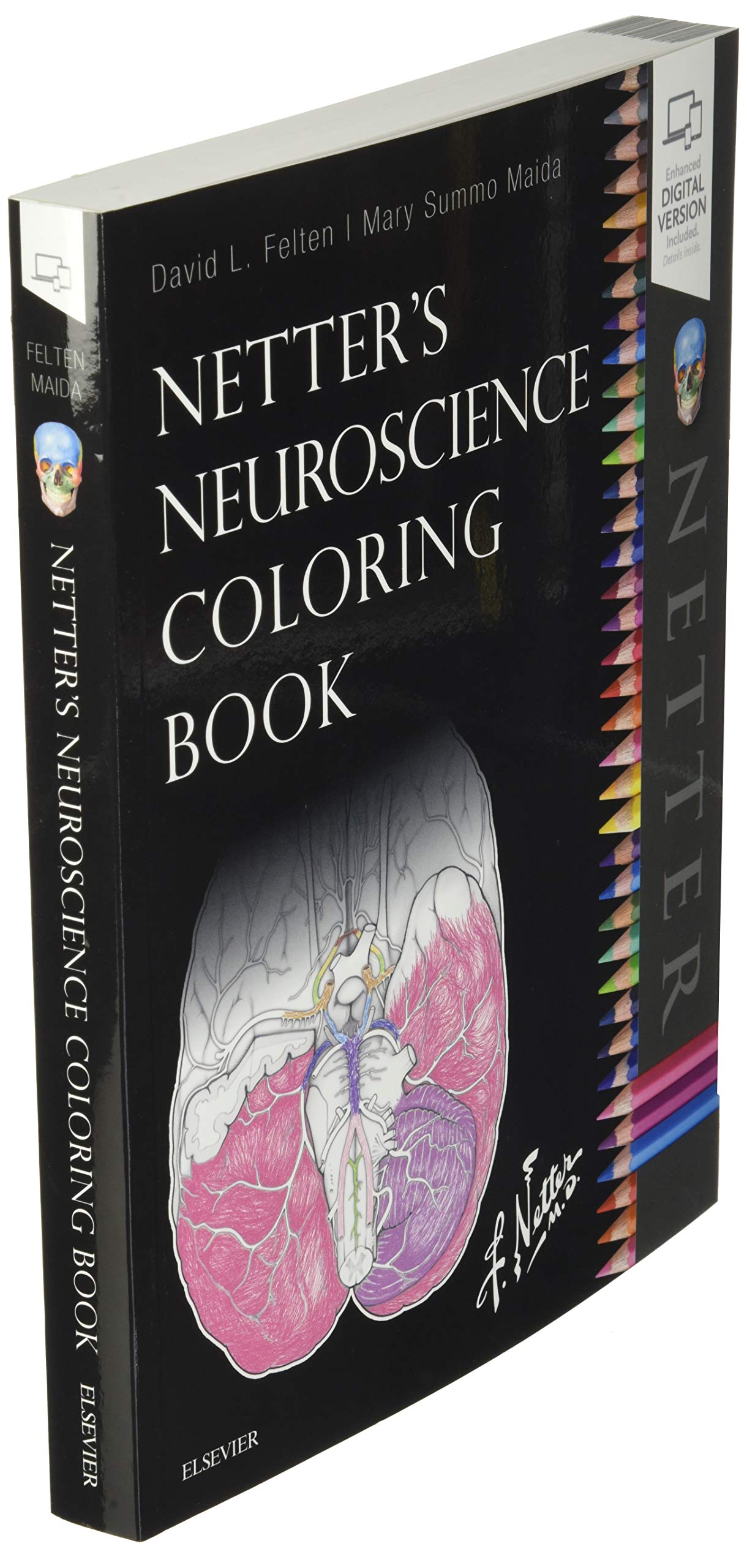 Netter's Neuroscience Coloring Book Swiftsly