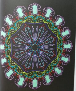 Glowing Mandalas: Coloring Book for Adults Paperback 86 81s9jFm3SQL