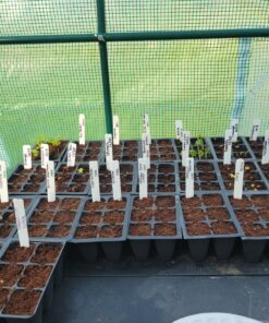 9GreenBox - Seedling Starter Trays, 144 Cells: (24 Trays; 6-Cells Per Tray), Plus 5 Plant Labels 18 81sCQO2k 7L