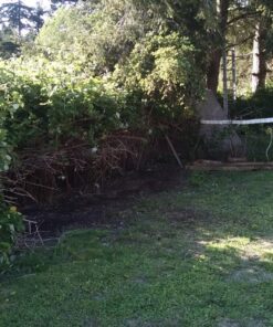 TrimmerPlus BC720 Brushcutter with J-Handle for Attachment Capable String Trimmers, Polesaws, and Powerheads, 8, Fatigue 10 81sDW0g6GHL