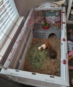 Living World - Deluxe Hybrid Habitat, X-Large - Rabbit, Guinea Pig, Chinchillas, and Small Animal Cage 46.9"L x 22.8"W x 24.0"H Standard Packaging 26 81sGagbUYvL