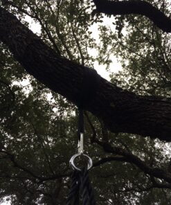 Easy Hang (4FT) Tree Swing Strap X1 - Holds 2200lbs. - Heavy Duty Carabiner - Bonus Spinner - Perfect for Tire and Saucer Swings - 100% Waterproof - Easy Picture Instructions - Carry Bag Included! 4 Feet Single 32 81sI2rv4N6L