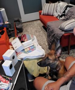 Wyze Cam 1080p Pan/Tilt/Zoom Wi-Fi Indoor Smart Home Camera with Night Vision, 2-Way Audio, Works with Alexa & the Google Assistant, White - WYZECP1 Wyze Cam Pan 63 81sIRsu54SL