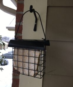 FORUP Suet Bird Feeder, Hanging Suet Feeder, Single Suet Cake Bird Feeder, One Suet Capacity 1 31 81sKQrL5m8L