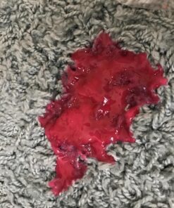 Biokleen Bac-Out Enzyme Stain & Odor Remover - 128 Ounces - Destroys Stains & Odors Safely, for Pet Stains, Laundry, Diapers, Wine, Carpets, & More, Eco-Friendly, Non-Toxic 1 43 81sLEfMrIqL