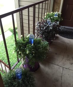 Recycle a Plastic Bottle Stake Set with Adapter 1 31 81sMGQ0gLRL