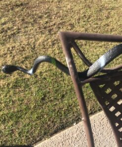 Fun Central 12 Pack - Realistic Rubber Snakes Toys for Garden in Bulk - 22 inches 36 81sMH8rpL7L