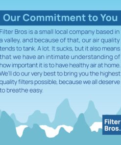 Filter Bros HEPA Filter C Replacement Fits GermGuardian FLT5000 AC5250PT AC5350B 15 81sNHa2AlSL