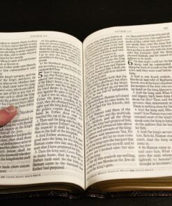 KJV Holy Bible, Giant Print Standard Size Faux Leather Red Letter Edition - Thumb Index & Ribbon Marker, King James Version, Dark Brown Imitation Leather 55 81sOIB2c LL