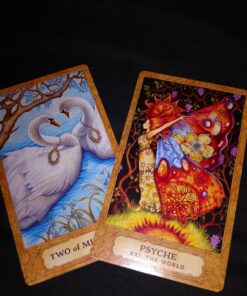 Chrysalis Tarot Cards, Box set 46 81sRSQC0nL