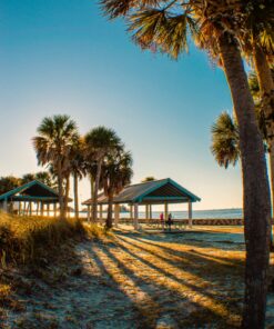 52MM 0.43x Altura Photo Professional HD Wide Angle Lens (w/Macro Portion) for Nikon D7100 D7000 D5500 D5300 D5200 D5100 D3300 D3200 D3100 D3000 DSLR Cameras 52MM 65 81sTMG7eipL