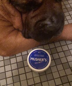 Musher's Secret Dog Paw Wax 60 g (2.1 oz) - Moisturizing Dog Paw Balm that Creates an Invisible Barrier That Protects and Heals Dry Cracked Paws - All-Natural with Vitamin E and Food-Grade Ingredients 2.1 Ounce (Pack of 1) 34 81sTx 83YiL