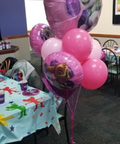 Paw Patrol Girls Pup Skye and Everest Foil Balloons Birthday Party Supplies (5 Piece Bouquet) 13 81sUmpbV6gL