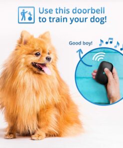 Dog Bell for Potty Training - Touch Activated Wireless Dog Door Bell for Puppy Training - Waterproof Pet Training Bell w/Over 1000-Feet Range, 50 Door Chimes, 4 Adjustable Volume Levels, LED Flash 15 81sVt6xpaL 1