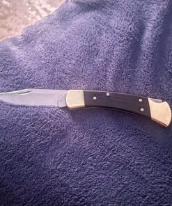 Buck Knives 110 Folding Hunter Lock-back Knife, Brass Bolsters, Ebony Handles, 3-3/4" 420HC Blade with Leather Sheath Classic 3.75" 50 81sYlaVLsnL