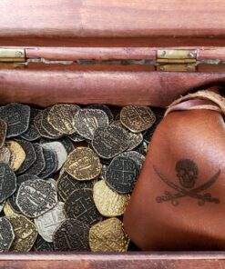 Beverly Oaks Metal Pirate Coins - Gold and Silver Spanish Doubloon Replicas - Fantasy Metal Coin Pirate Treasure (100) 100 71 81sbvove4XL