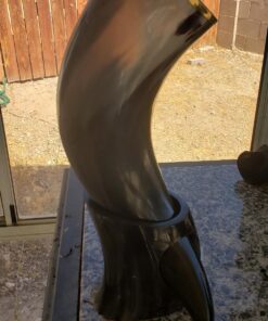 AleHorn Viking Horn Mug with Stand | Viking Drinking Horn Mug, Viking Cup | Handcrafted Tankard Mug, Viking Beer Mug | Viking Drinking Cup | Viking Mugs | Horn Cup - Viking Mug | Polished 20 oz XL - 20oz 38 81scxwpAK8L