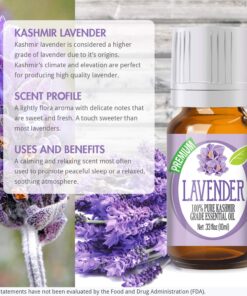 Healing Solutions 10ml Oils - Kashmir Lavender Essential Oil - 0.33 Fluid Ounces 0.33 Fl Oz (Pack of 1) 12 81sd6ksh2L