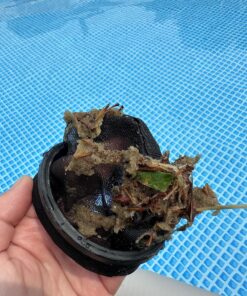 Intex Handheld Rechargeable Vacuum with Telescoping Aluminum Shaft and Two Interchangeable Brush Heads , Gray/Black 31 81sdkeW2ogL