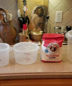 Cambro 4-Quart Round Food-Storage Container with Lid, Set of 3 4 Quart 17 81se2fvhQL