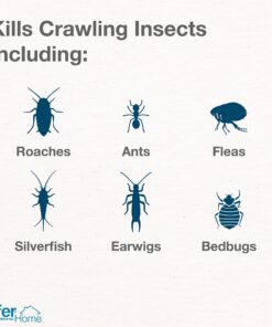 Safer Home SH51703 OMRI Listed Diatomaceous Earth - Ant, Roach, Bedbug, Flea, Silverfish, Earwig, & Crawling Insect Killer 28 81seWu559ML