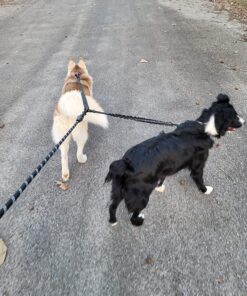 tobedri Comfortable Dual Dog Leash Tangle Free with Shock Absorbing Bungee Reflective 2 Dog Leashes for Large Medium Small Dogs Dogs weight 25-100lbs Black 25 81sg0zPceqL