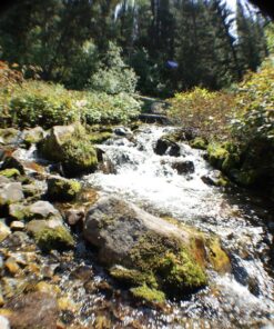 Altura Photo 58MM 0.35x Fisheye Canon Wide Angle Lens (w/Macro Portion) for DSLR Cameras EOS Rebel 70D 77D 80D 90D T8i T7 T7i T6i T6s T6 T5i T5 T4i T3i T100 SL1 SL2 SL3 - Canon Mount 48 81shse0SljL